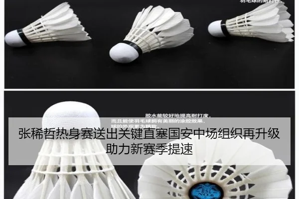 张稀哲热身赛送出关键直塞国安中场组织再升级助力新赛季提速